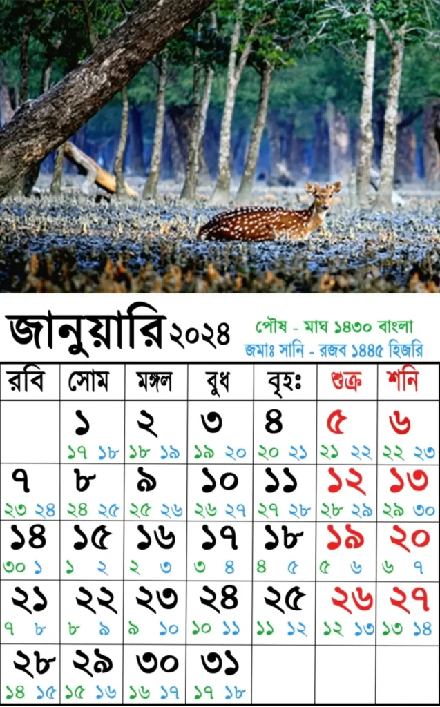 সরকারি ও বেসরকারি কলেজে 2025 সালের ছুটির তালিকা 4 আজকের তারিখ বাংলা ইংরেজি আরবি ২০২৫ | বাংলা ক্যালেন্ডার ১৪৩০| বাংলা মাসের ক্যালেন্ডার ২০২৫