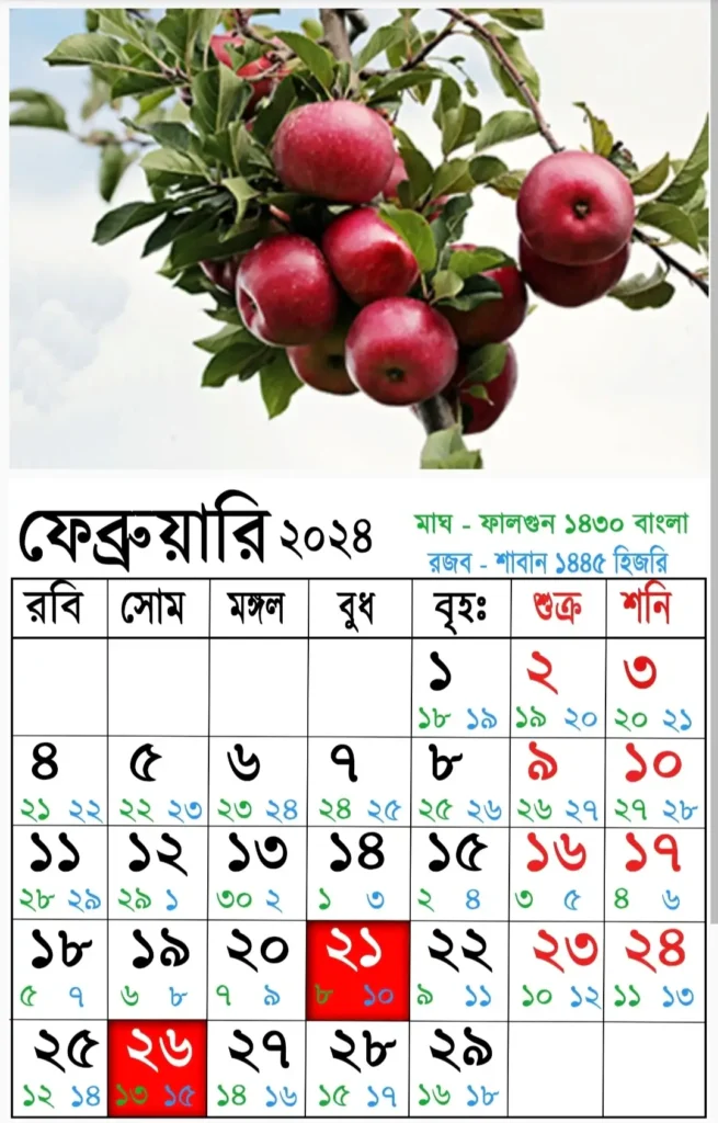 সরকারি ও বেসরকারি কলেজে 2025 সালের ছুটির তালিকা 5 আজকের তারিখ বাংলা ইংরেজি আরবি ২০২৫ | বাংলা ক্যালেন্ডার ১৪৩০| বাংলা মাসের ক্যালেন্ডার ২০২৫