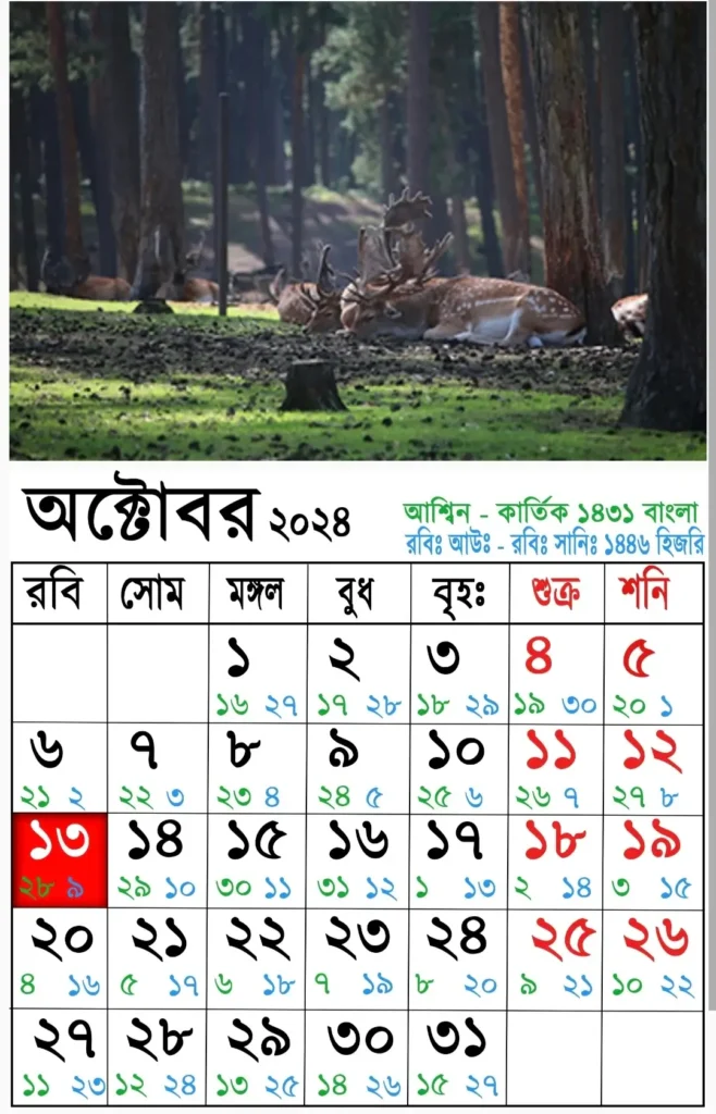 সরকারি ও বেসরকারি কলেজে 2025 সালের ছুটির তালিকা 13 আজকের তারিখ বাংলা ইংরেজি আরবি ২০২৫ | বাংলা ক্যালেন্ডার ১৪৩০| বাংলা মাসের ক্যালেন্ডার ২০২৫